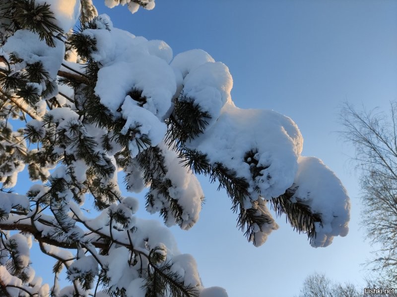 Снега в этом году караул......