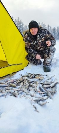у меня фото поскромнее..
Пошёл позавчера с другом  на речку и надергал ельцов, окуней и сигов..)) за пару часов душу отвёл!