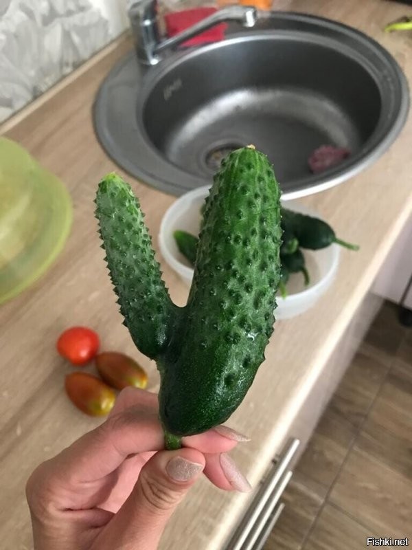 Что-то в этом есть.