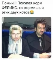 Ну и эти два "кота" тоже :-))))