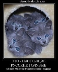 Ну и эти два "кота" тоже :-))))