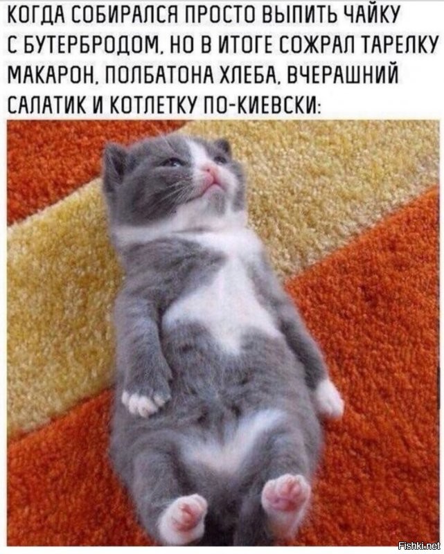 Солянка от 09.01.2022