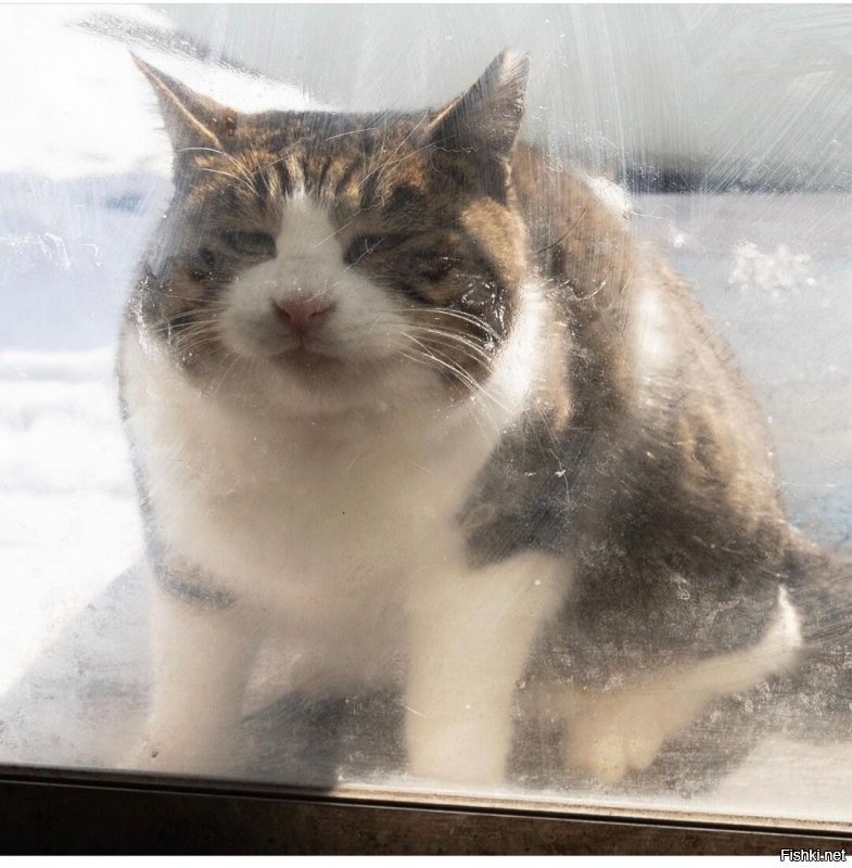 А что вы там делаете 