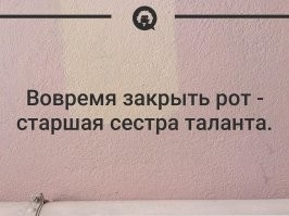 Смешные комментарии из&nbsp;социальных сетей-40