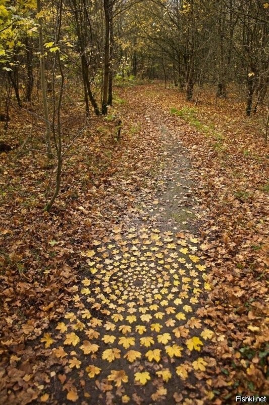 Солянка от 09.01.2022