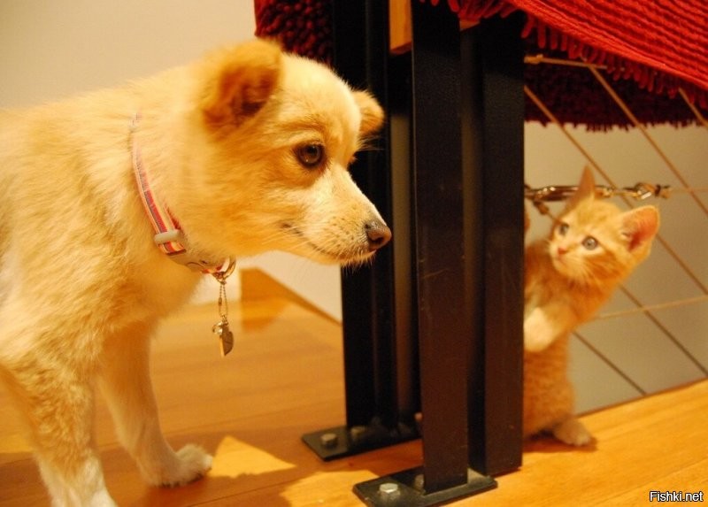 Солянка от 09.01.2022