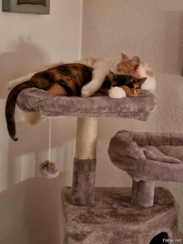 А мы тут обнимается!!!