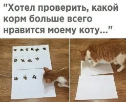 Смешные и познавательные картинки