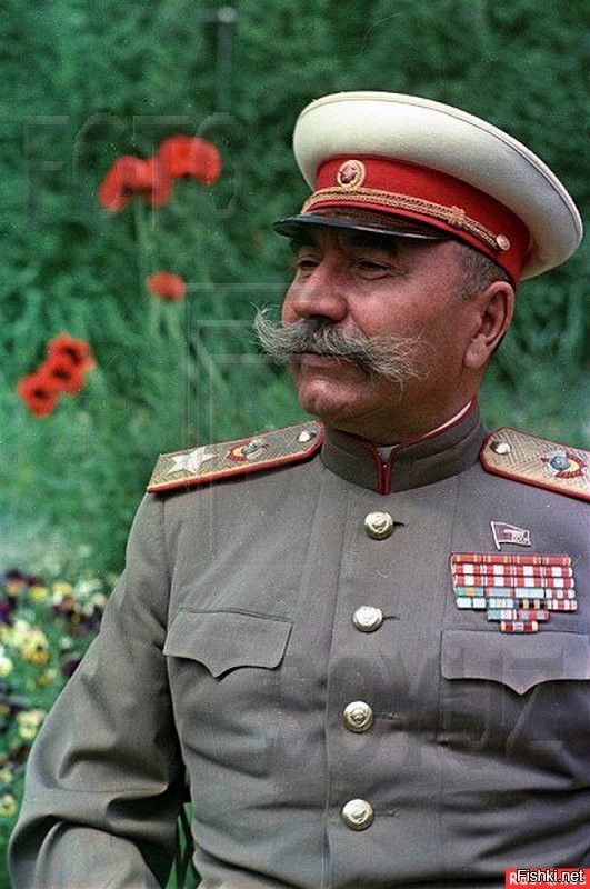 "Это, товарищ, не киса, а маршал Буденный". 
На каждом парадном фото Семена Михайловича главное в кадре – монументальные усы. "Это "народные усы", – сказал однажды Сталин и категорически запретил их сбривать. Разумно. Поскольку это были представительские усы, символ победоносной Конармии и всего советского строя, при котором человек, вышедший из низов, может запросто стать маршалом. 
Это был переходный период от бороды Маркса к бородке Ленина. А далее по нисходящей: усищи Буденного и Горького, усы самого Сталина, усики Ворошилова.
И так до обритой наголо головы Хрущева. Кто-то "народным усам" умилялся, других они раздражали. Один эмигрант, близко знавший маршала, утверждал, что тот усы подкрашивал, а поскольку краска была некачественной, они иногда становились фиолетовыми. За сталинские усы дергали куда больнее. Помните, у Мандельштама: "Тараканьи смеются усища". Но это "происки", а советская власть поместила наусник Буденного в музей. И справедливо – это примета эпохи.
В чем Буденному крупно повезло, так это в том, что в самом начале своей послереволюционной карьеры он под Царицыном столкнулся со Сталиным. И произвел на него хорошее впечатление. Рубака знатный, но не политик. И не хочет им быть. Кто-то из биографов полагает, что это свойство буденновского характера,  другие видят здесь расчет.
В 1935 году Семён Михайлович стал одним из пяти первых маршалов Советского Союза.
 Будённый   отражение своей эпохи. Лихой кавалерист, нарушивший приказ командира, говорил на четырёх иностранных языках, отбился от чекистов, прекрасно играл на гармони и проявил себя как толковый государственный деятель. Его усы стали легендарными, образ незабываемым, а название «будёновка» (для красноармейского суконного шлема) прочно обосновалось в культуре.
Не стало Будённого в октябре 1973 года. Маршала похоронили у кремлёвской стены на Красной площади.