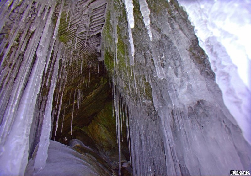 Солянка от 09.01.2022