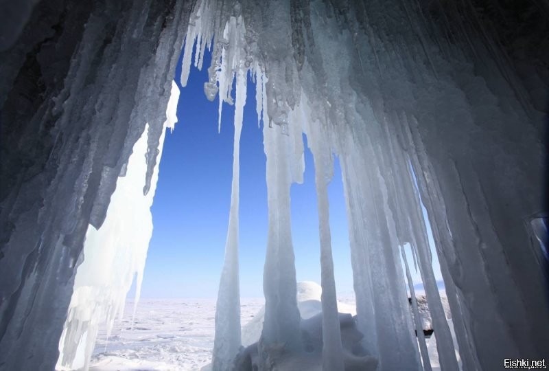 Солянка от 09.01.2022