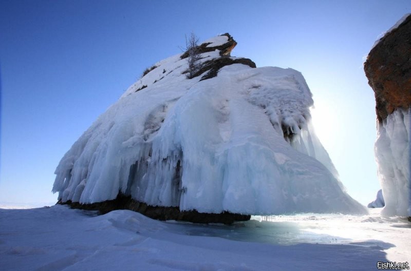 Солянка от 09.01.2022