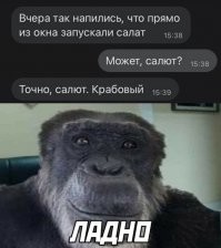 В Петербурге стартовала акция по сбору и переработке новогодних елок