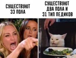 Когда согласен с котом на 100%