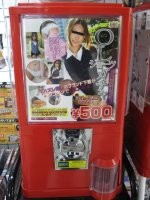 Дальше всех в этом деле пошли японцы.