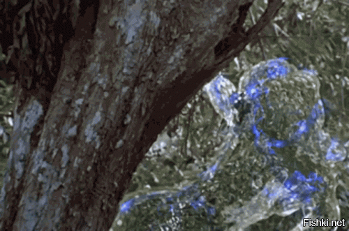 Солянка от 10.01.2022