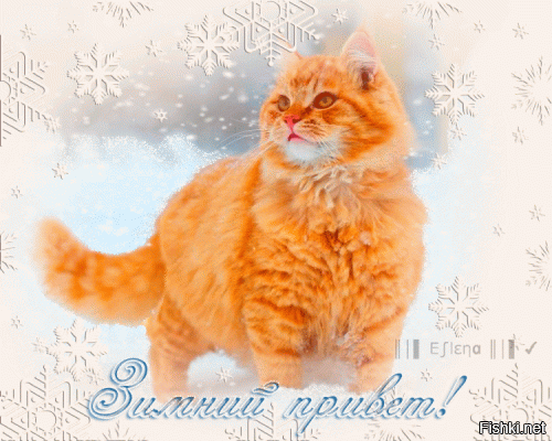 Солянка от 10.01.2022