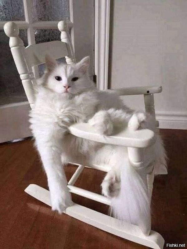 ...в тепле луччи