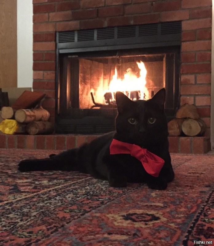 Однозначно ... )))