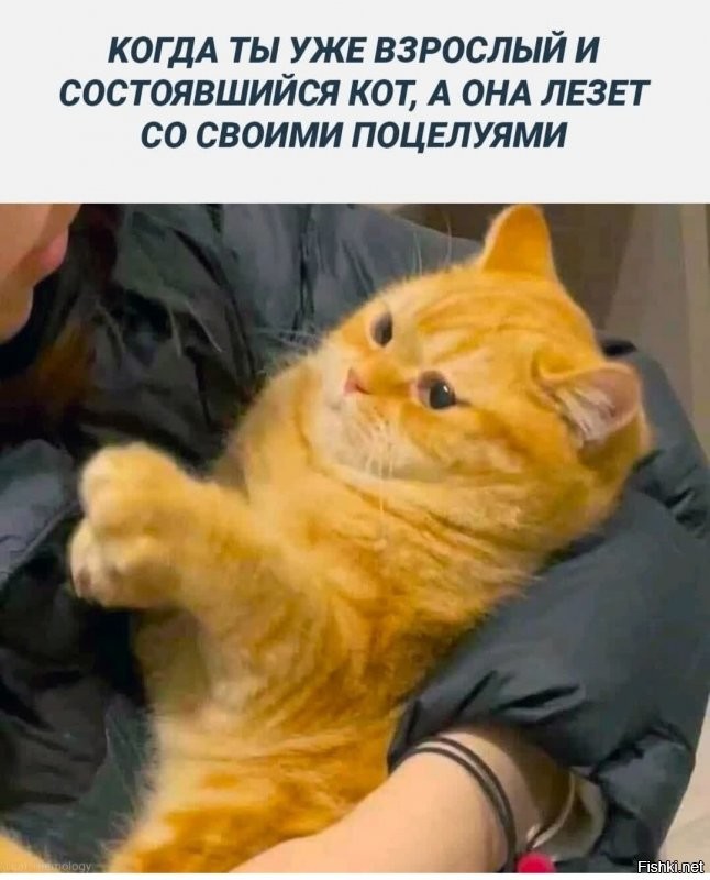 Солянка от 10.01.2022