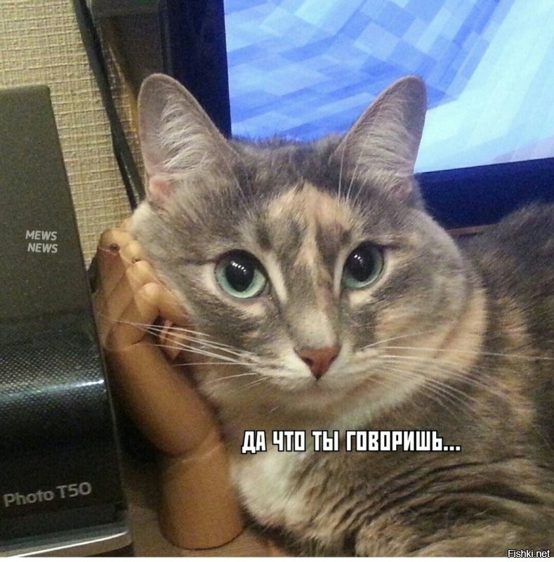 Солянка от 10.01.2022