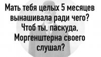 Тут, недавно, наткнулся на передачу "Русский нинзя", которую ведёт ... Моргенштерн. Этот петрила, с лицом, татуированным как у последнего петуха в зоне... Смотреть не стал, но предполагаю, что смысл передачи, добраться через все препятствия до Моргенштерна.