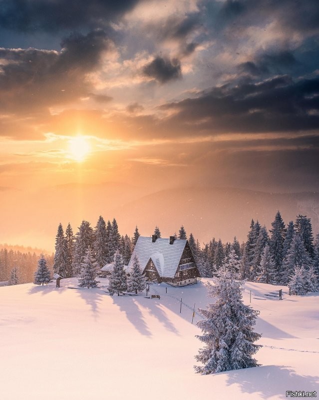 Солянка от 10.01.2022