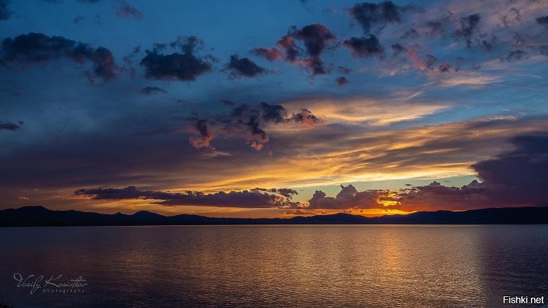 Солянка от 10.01.2022