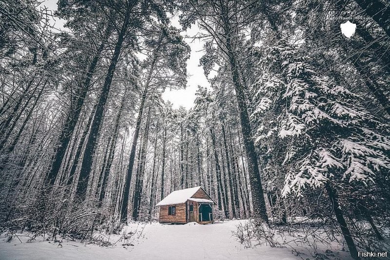 Солянка от 10.01.2022