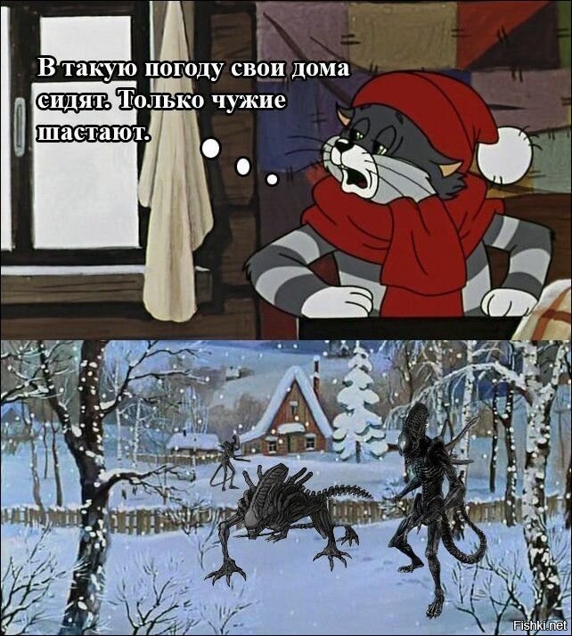 Чузые здесь не ходят