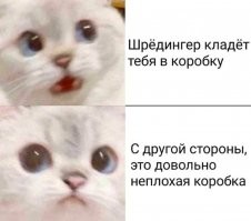 Смешные и познавательные картинки