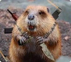 Недовольный речной житель напугал семейную пару