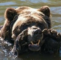 Приму в дар квартиру и гитару, или типичные анкеты девушек с сайтов для знакомств