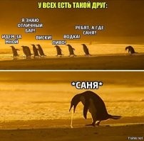 Пингвин оторвался от коллектива 