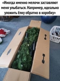 Это просто новая елка, еще не распакованная!