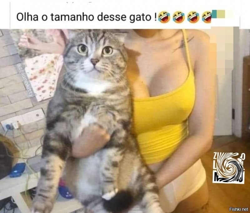 Солянка от 10.01.2022