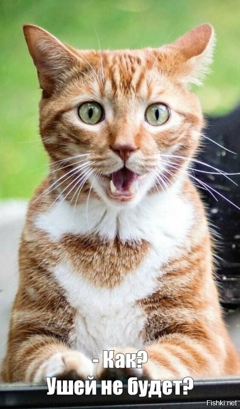 Учащиеся нью-йоркской школы парикмахеров учатся бритью тренируясь на воздушно...