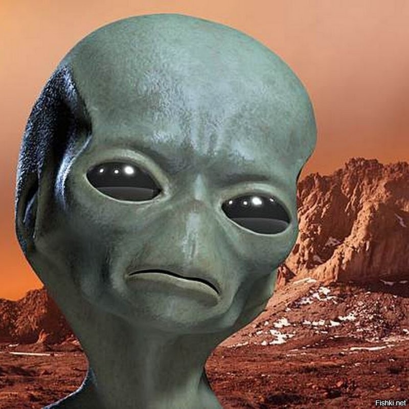 Солянка от 11.01.2022