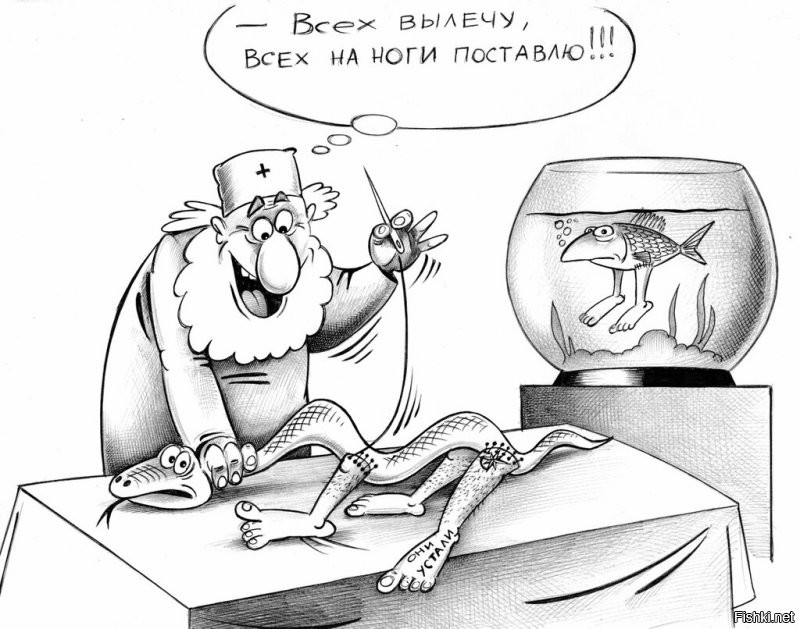 Солянка от 11.01.2022