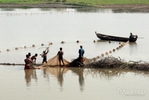 По поводу дешёвой рыбы у моря. Она дешевле, но только у таких рыбаков. Деревянная лодка и сеть стоит не дорого, а рыболовецкий траулер с командой и логистикой надо отбивать...