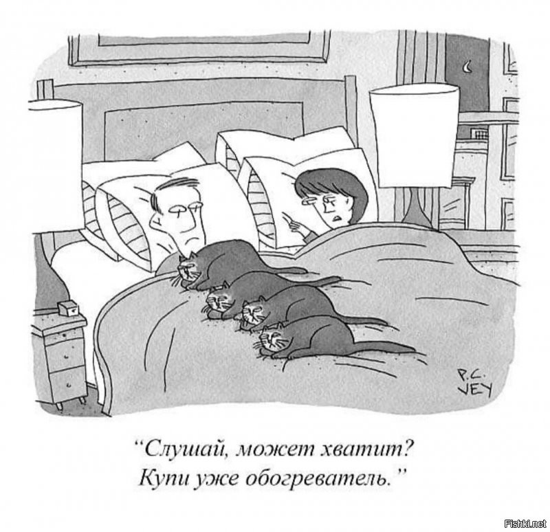 Солянка от 11.01.2022