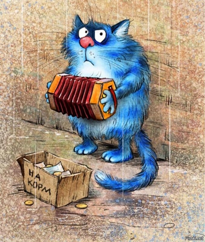 Солянка от 11.01.2022