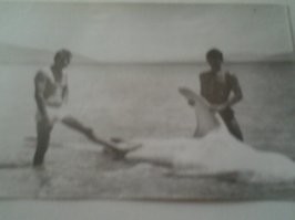 нет . уже нет .