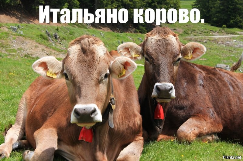 По итальянски мона?