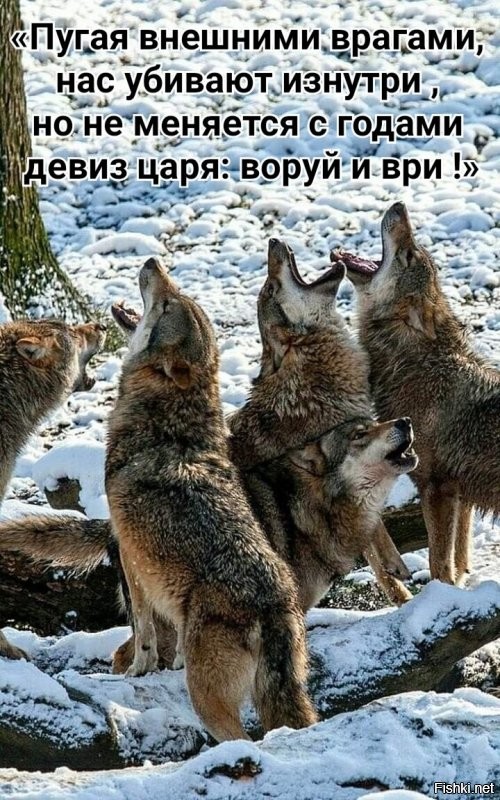 А где здесь несоответствие? 
 ОДКБ защищала власть, а не народ. Защитила. 
 А любой режим, хоть в Америках, хоть в Азиях с Европами, держится всегда на "борьбе с внешними и внутренними врагами". Политика Токаева не выходит за рамки общемировой практики.
 Или мы должны ликбез по "государственному управлению" пройти? 
 Царя можно заменить на елбасы, канцлер, король, президент...