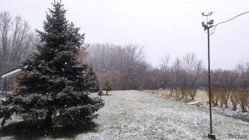 Предгорья Краснодарского края. Вчера плюс 18. Сегодня пошел снег. Завтра (на старый Новый год) полежит и в пятницу, к вечеру растает. По мне - так идеально.