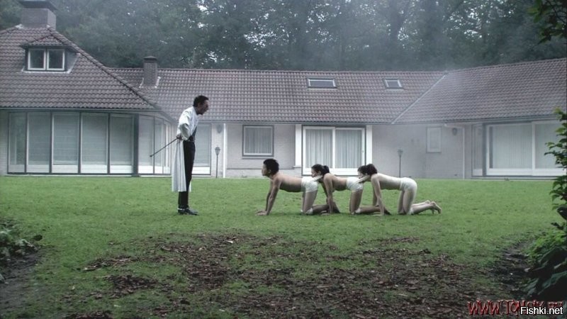 Человеческая многоножка