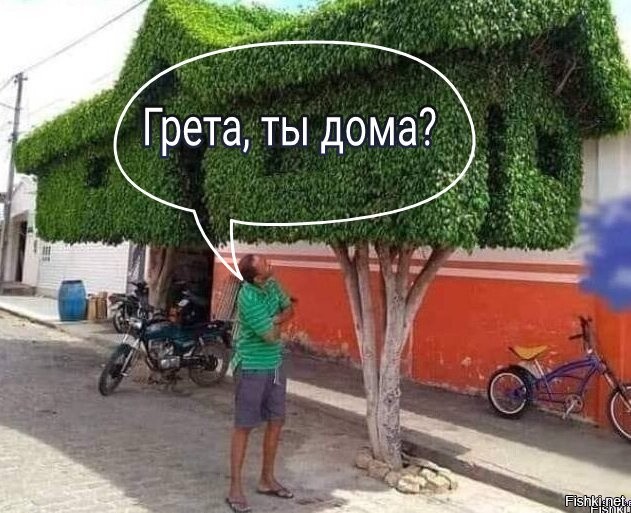 Солянка от 12.01.2022