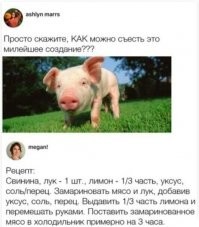 Жительница Санкт-Петербурга держит в квартире 80-килограммовых мини-хрюшек