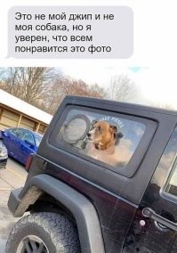 Над собакой написано "бесплатные поцелуи"